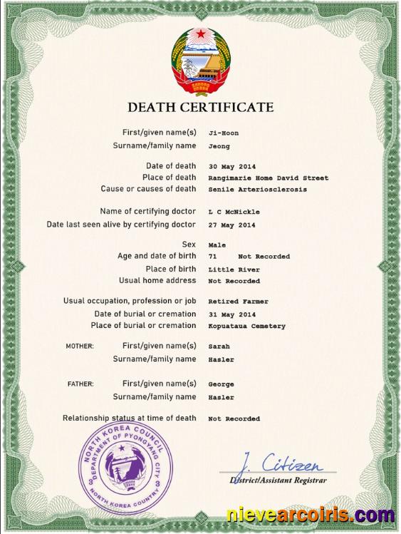 North Korea death certificate